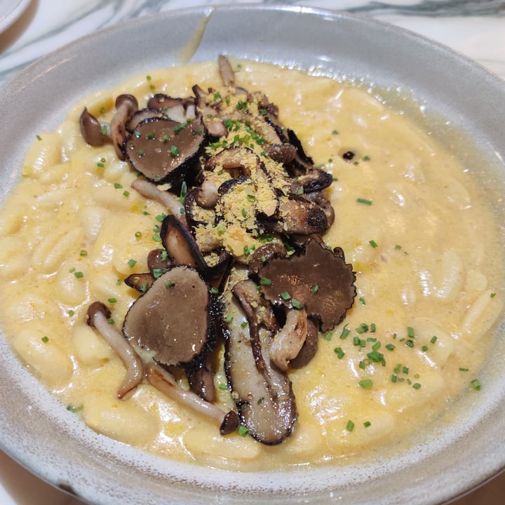 photo of Raw Kitchen Bar Truffle Cavatelli shared by @fourdollars on  28 May 2022 - review