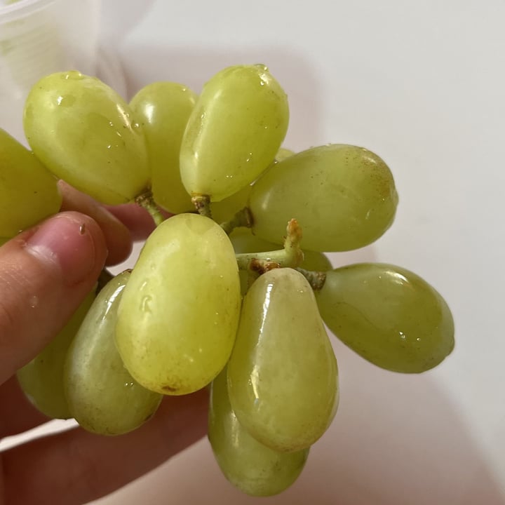 photo of Angeloni uva verde sem semente shared by @anto130301 on  16 Nov 2022 - review