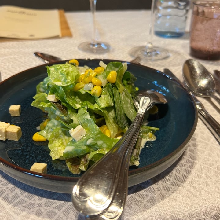 photo of Hotel Rupertus Plantbased menu shared by @lililu on  13 Apr 2022 - review