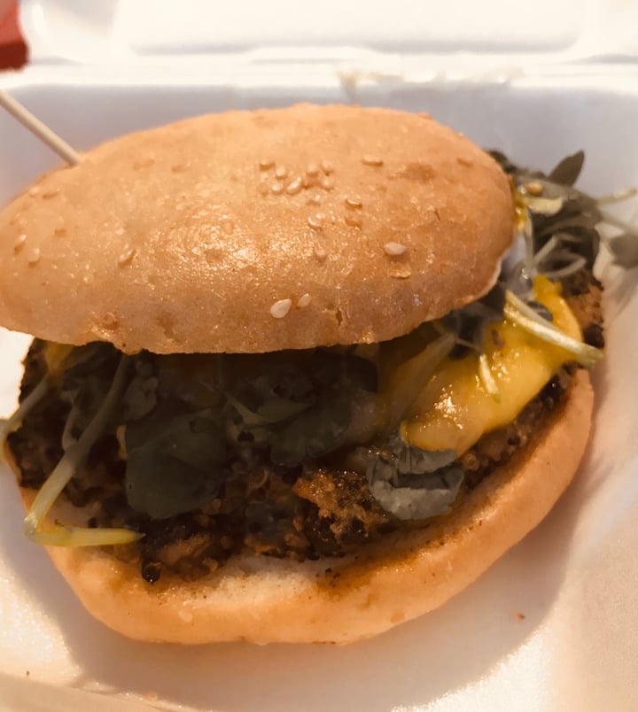 photo of Aleman Experto Hamburguesa Vegana Experto shared by @catalinapvt on  22 Nov 2019 - review