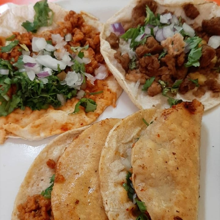 review photo of Ganesh Restaurant Tacos De Chicharrón De Gluten shared by @sandragora on 19 Jul 2020 - review