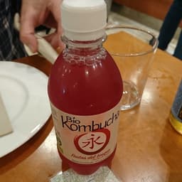 Bio Kombucha