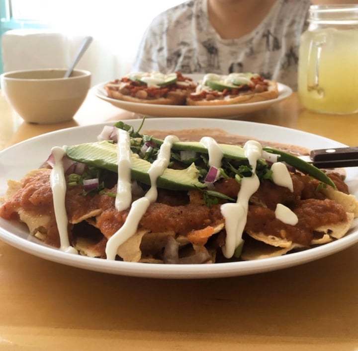 photo of Indómite Vegan Chilaquiles shared by @jourbano on  01 Dec 2019 - review