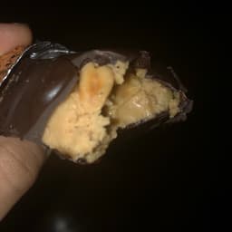 Ju Vegano