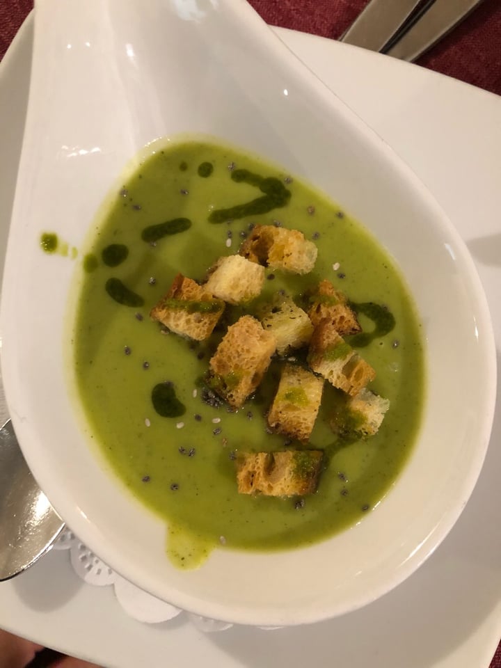 photo of Ristorante Il Portico Zucchini soup shared by @chrissaye on  09 Mar 2019 - review