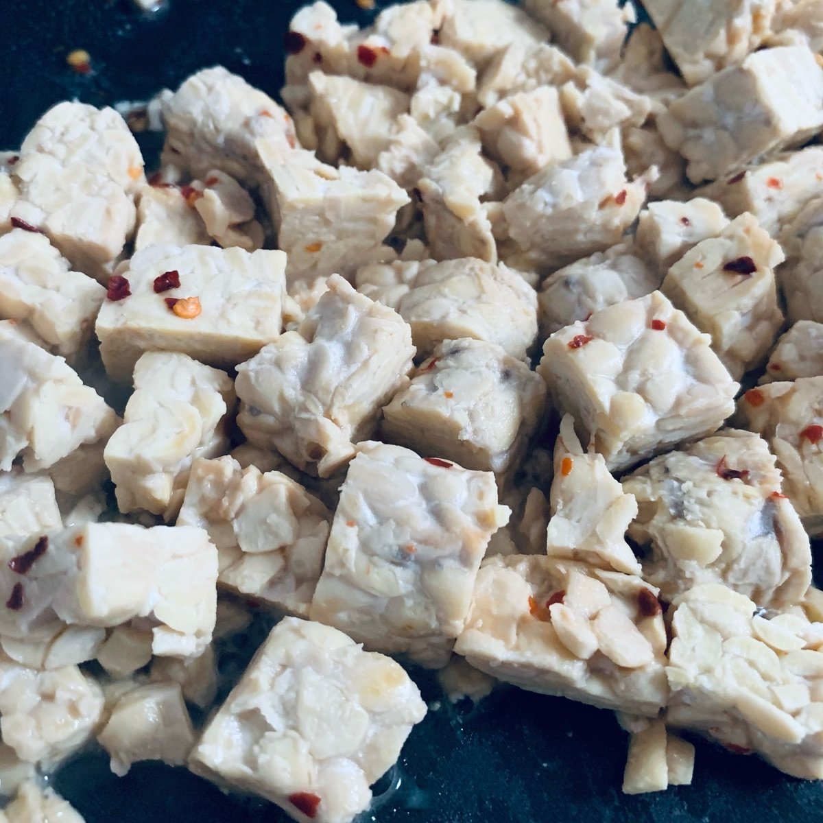 Tofurky Tempeh Reviews abillion