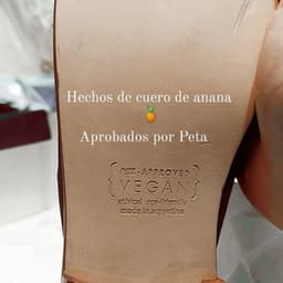 NUMERO 52