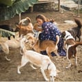 balipaws @balipaws profile image