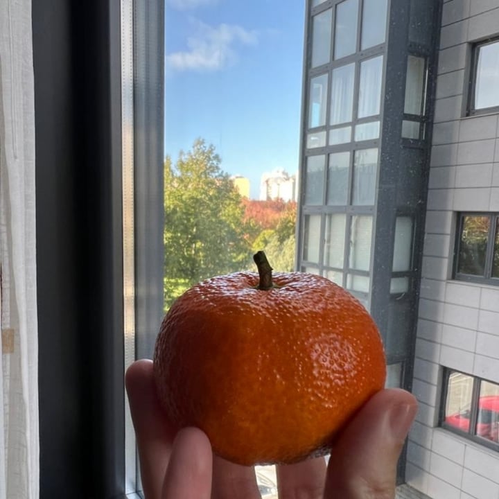 review photo of Cabanas Mandarina shared by @trosky on 03 Nov 2022 - review