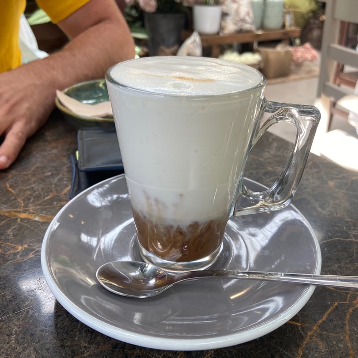 photo of terrárea Latte shared by @vegainz12 on  07 Jul 2021 - review