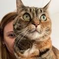 elisewin986 @elisewin986 profile image