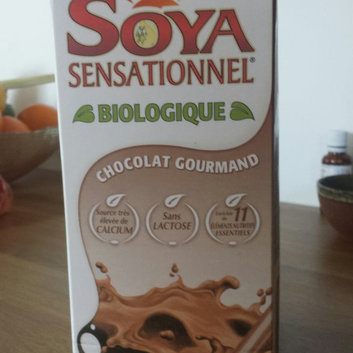 photo of Soya sensationnel Lait soya chocolat shared by @vegemilie on  01 Nov 2021 - review