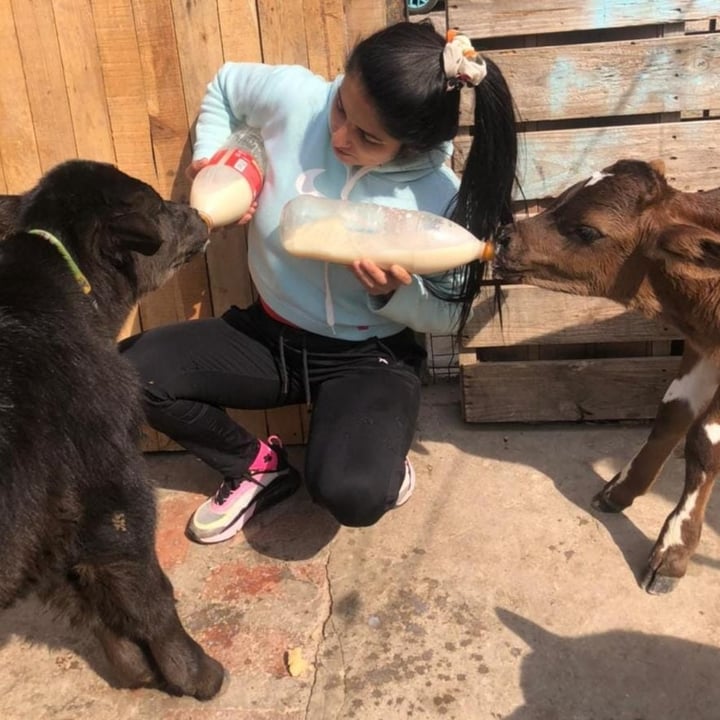 review photo shared by @vforvegan on 25 Aug 2022 - post