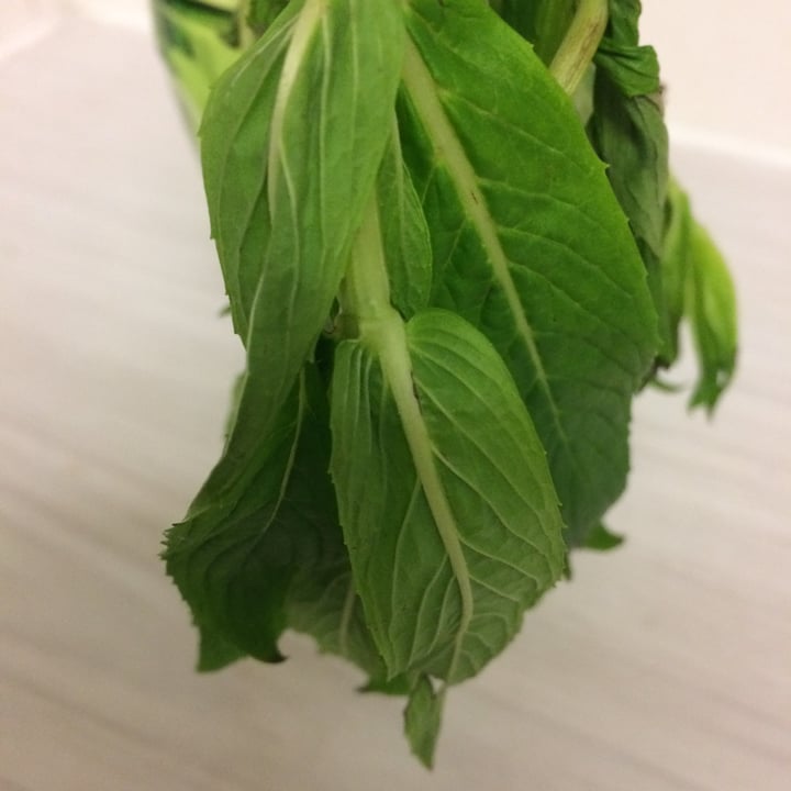photo of Woolworths Food Mint herb shared by @freedomforanimals on  07 Jun 2020 - review