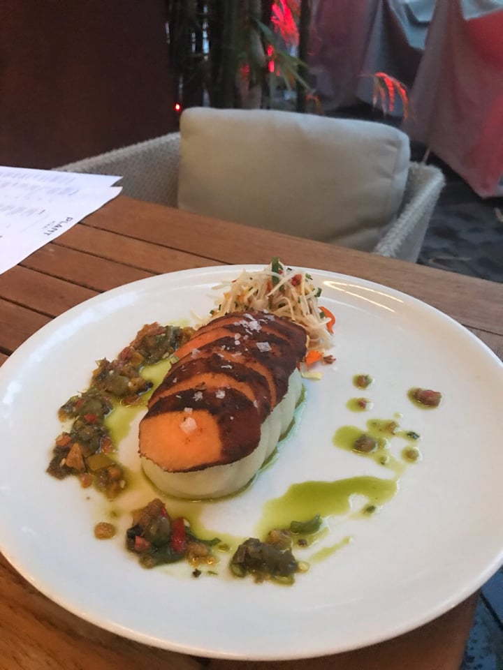review photo of Plant Miami Adobo mamey shared by @snehaverma on 26 Aug 2019 - review