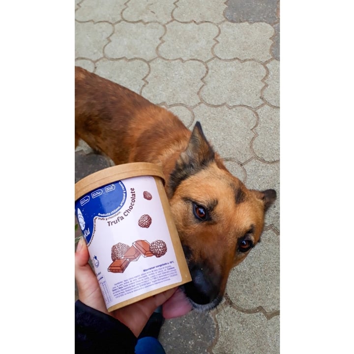 review photo of Icekid Helado De Trufa Chocolate shared by @macaaglr on 01 Oct 2020 - review