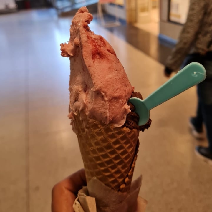 photo of Freddo Not Ice Cream de Frambuesa con salsa de frutos rojos shared by @pamarg on  22 Mar 2022 - review