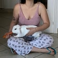 camillazecca @camillazecca profile image