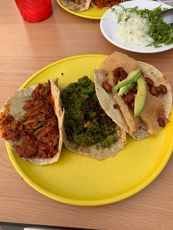 photo of Don Andrés Vegan Food & Coffee Tacos shared by @nancy on  06 Dec 2019 - review