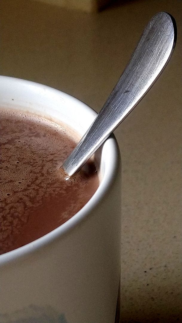 photo of Oatly Oat Drink Chocolate shared by @veg-ana on  26 Nov 2019 - review
