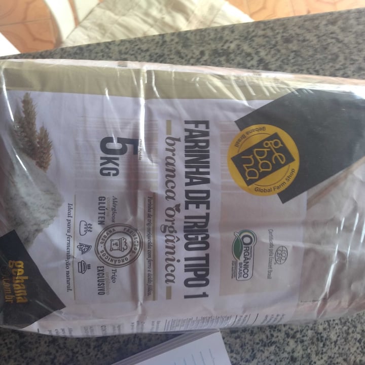 review photo of gebana.com.br farinha de trigo tipo 1 branca orgânica shared by @elisabete123 on 20 Jun 2022 - review