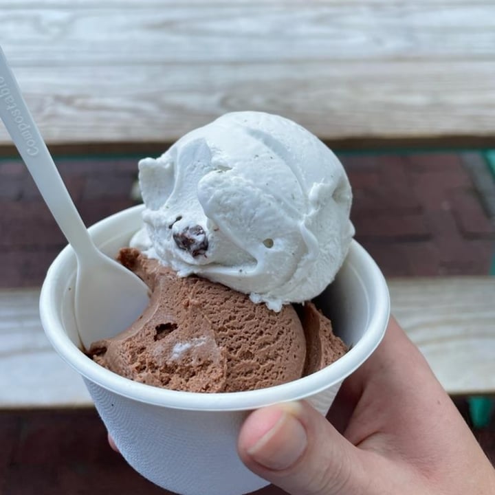 photo of Unframed Ice Cream Mint Choc Chip shared by @celianel on  02 Aug 2022 - review