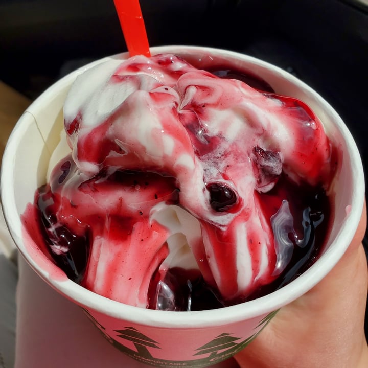 photo of Curbside Comforts Blueberry Sundae shared by @bocca on  14 Aug 2022 - review