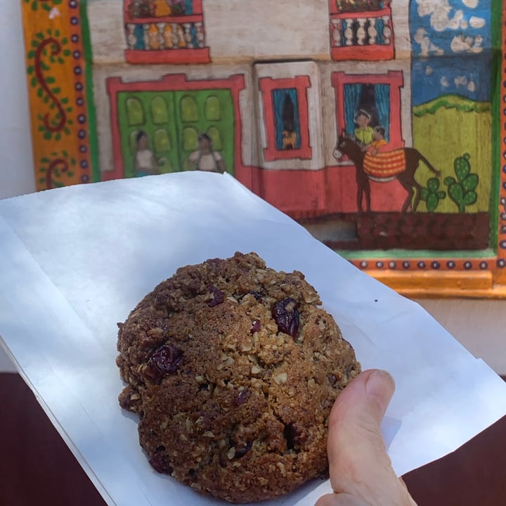 photo of Nibble Chocolate cranberry oatmeal breakfast cookie shared by @unejanie on  18 Jul 2022 - review