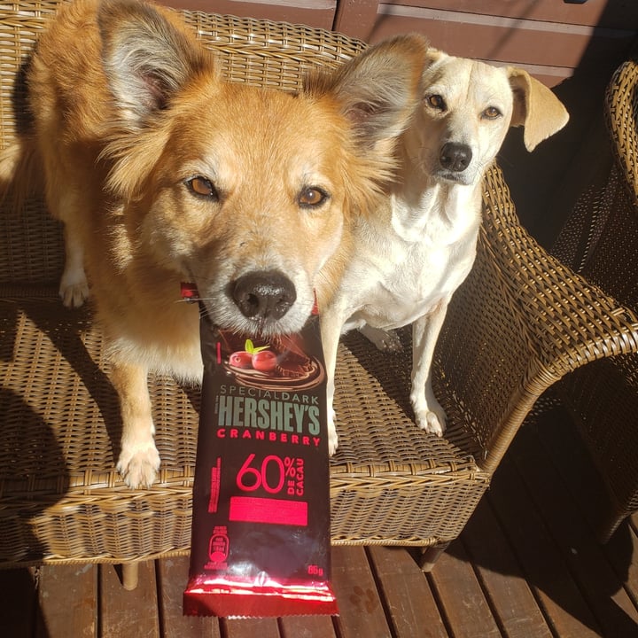 photo of Hershey's special dark 60% de cacau de cranberry shared by @loute on  30 Jun 2022 - review