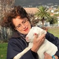 tonivbrockhoven @tonivbrockhoven profile image
