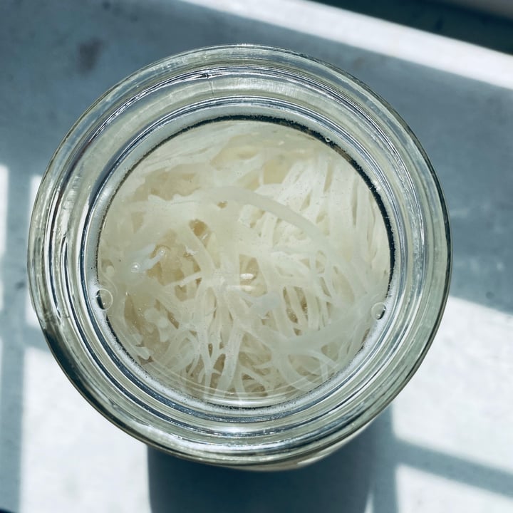 review photo of Miami Fruit Sea moss shared by @sarahfes on 12 May 2020 - review