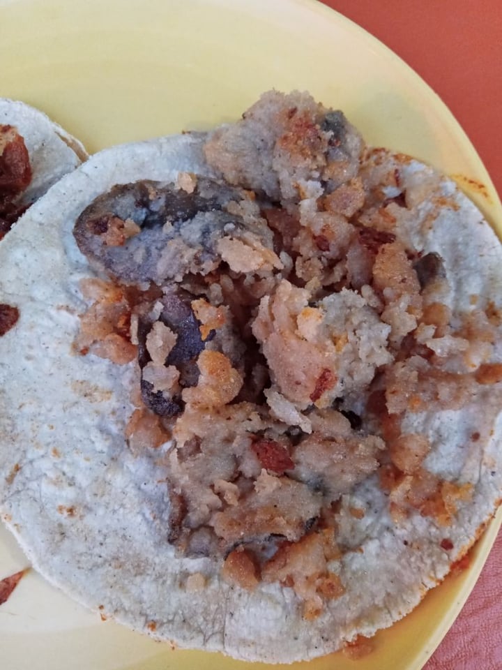 photo of Don Andrés Vegan Food & Coffee Tacos De Setas Empanizadas shared by @interfacemx on  24 Jan 2020 - review
