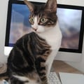 anav86 @anav86 profile image