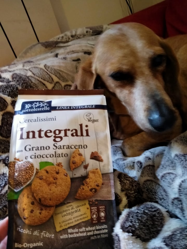review photo of Sottolestelle Cerealissimi Integrali Con Grano Saraceno E Cioccolato shared by @val76 on 22 Apr 2021 - review