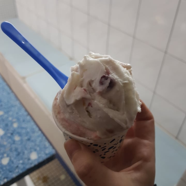 photo of Scarborough Ice Creamery Coco Peach And Raspberry Gelato shared by @shanehbleh1230 on  20 Aug 2020 - review