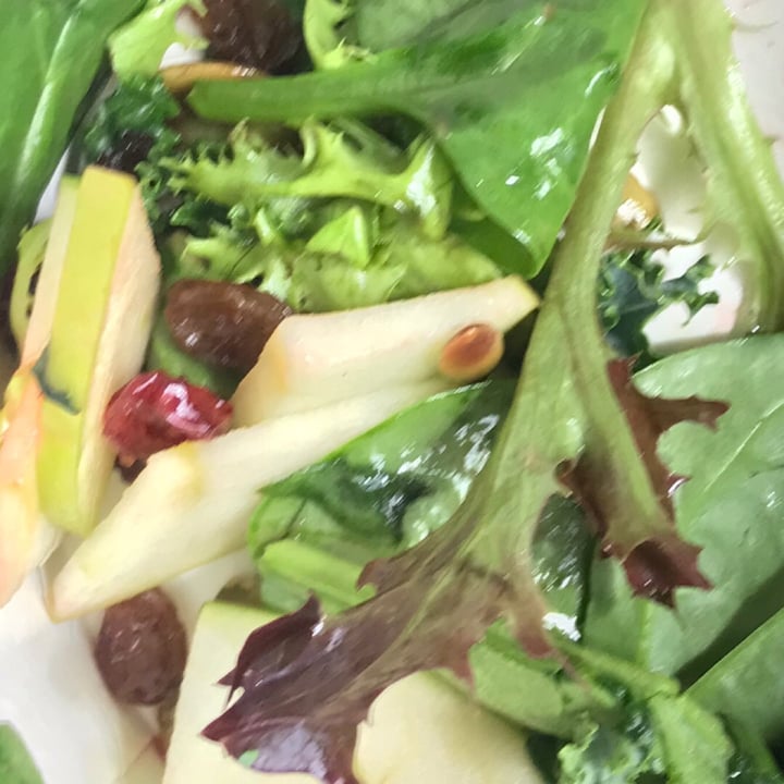 photo of Wild Flour Bakery Salad of the day shared by @angelinaoguma on  12 Aug 2019 - review