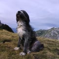 robertagarzillo @robertagarzillo profile image