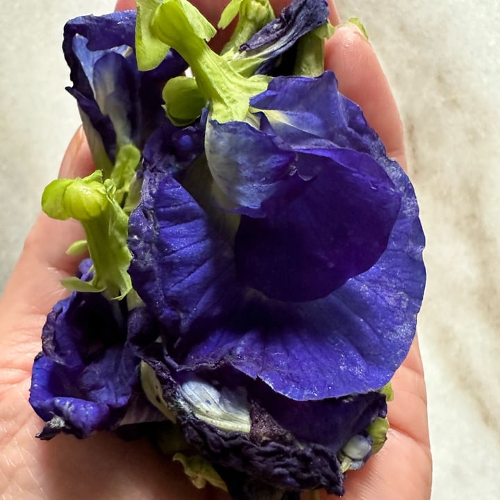photo of City Sprout Blue Pea shared by @piggy-egg on  14 Dec 2022 - review