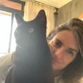 giselevescio @giselevescio profile image