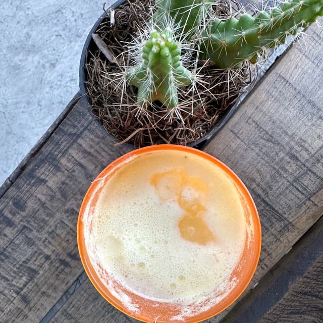 Photo of the dish “Agua de Horchata con Leche de coco”
