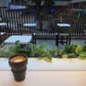% Arabica Hong Kong Sheung Wan