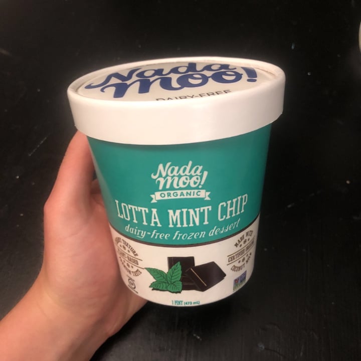 photo of NadaMoo! Lotta Mint Chip Dairy Free Frozen Desert shared by @ruthjeff on  10 Apr 2021 - review