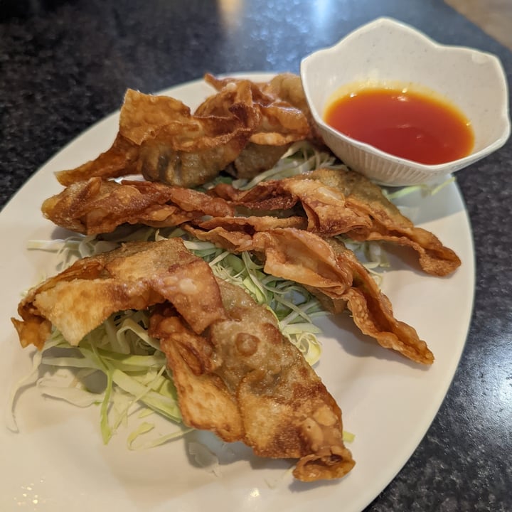 photo of Chef Kenny's Asian Vegan Cuisine Fried wontons shared by @motorcitypanda on  24 Feb 2022 - review