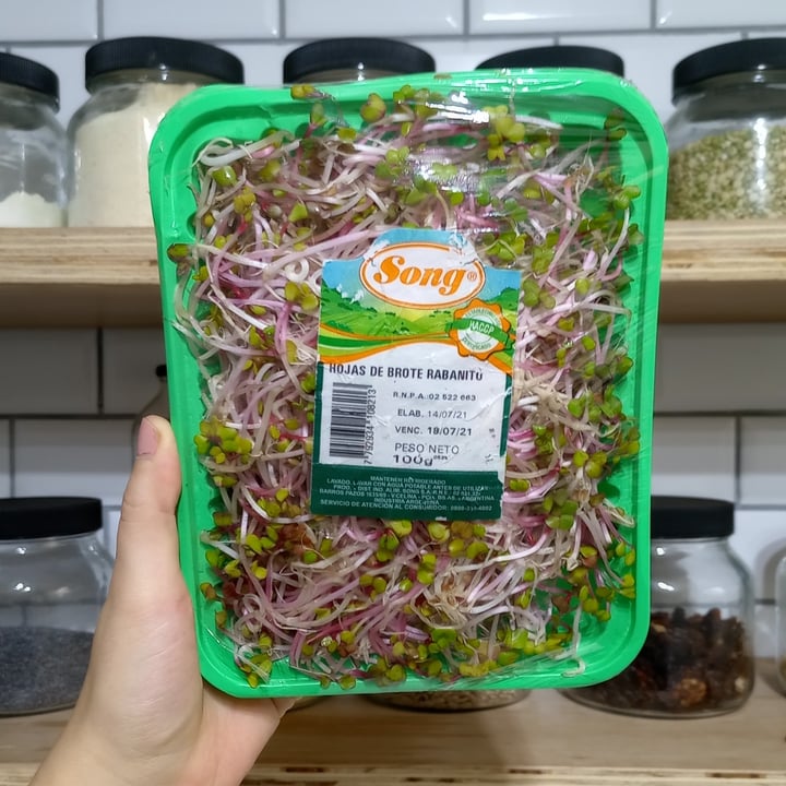 review photo of Song Brotes de Rabanito shared by @eugenie on 19 Jul 2021 - review