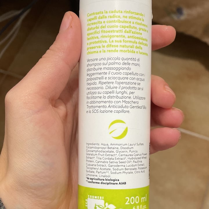 photo of Gentleaf Bio Shampoo trattamento anti caduta shared by @giorgi23 on  12 Jan 2022 - review