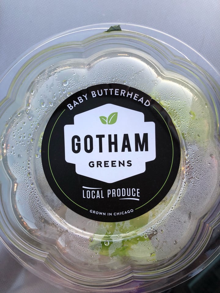photo of Gotham baby butterhead lettuce Gotham baby butterhead lettuce shared by @coolcat on  22 Jun 2019 - review