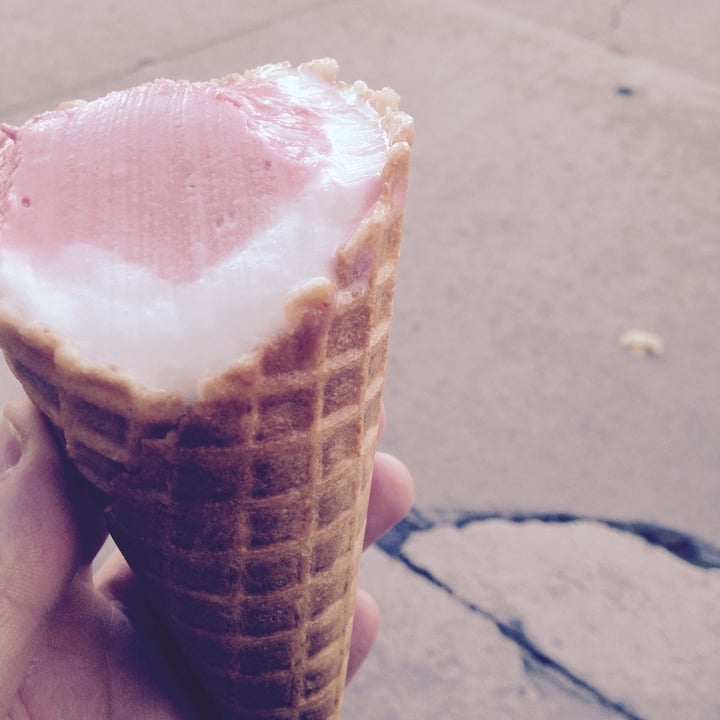 review photo of Mio Gelato Vegan Gelato shared by @anaclark on 15 Feb 2021 - review