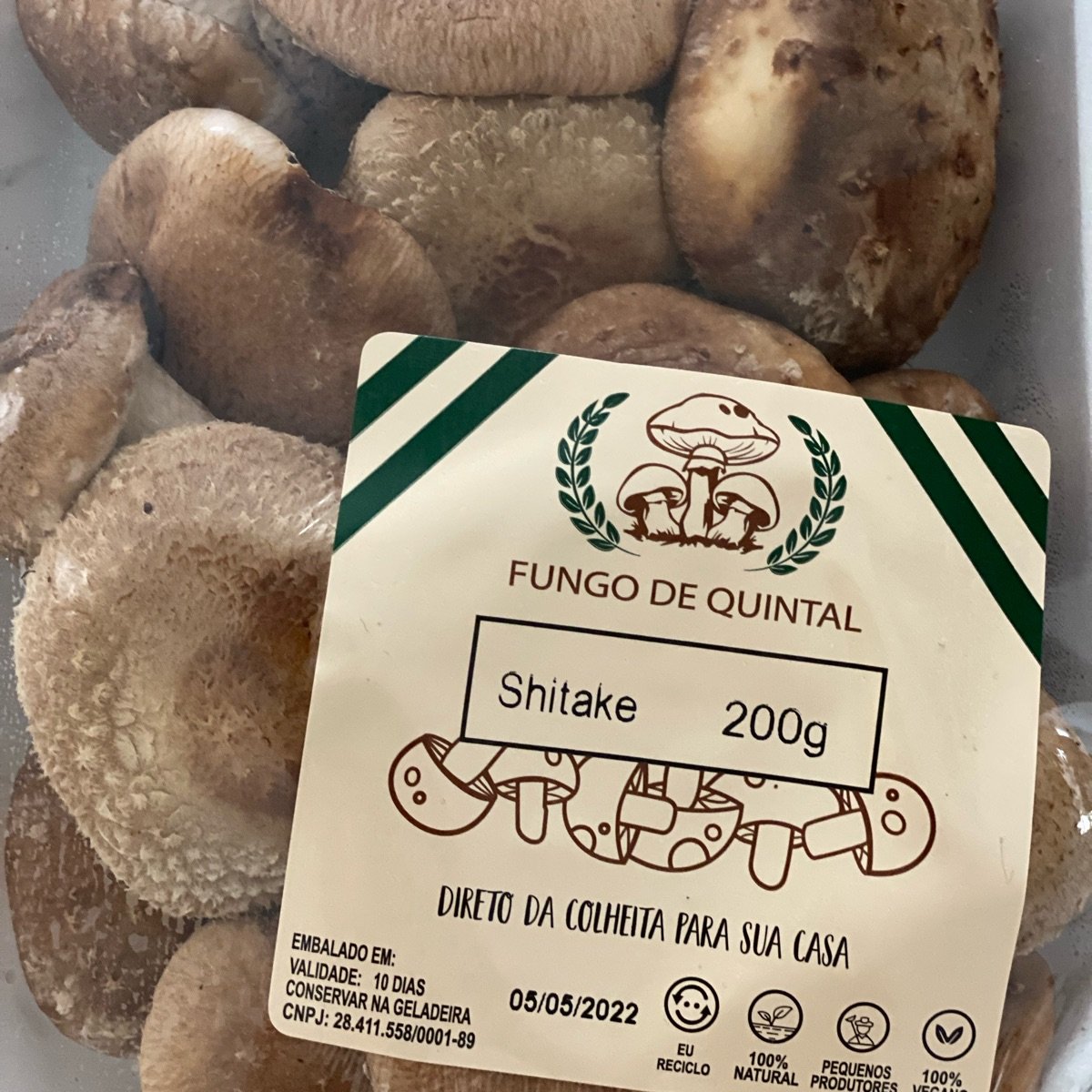 Cogumelo Shitake 200g Fungo de Quintal - Fungo de Quintal