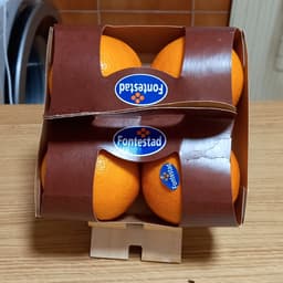 Fontestad