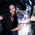 amvelasquez @amvelasquez profile image